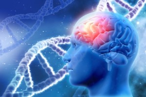 47499705 - 3d medical background with male head with brain and dna strands