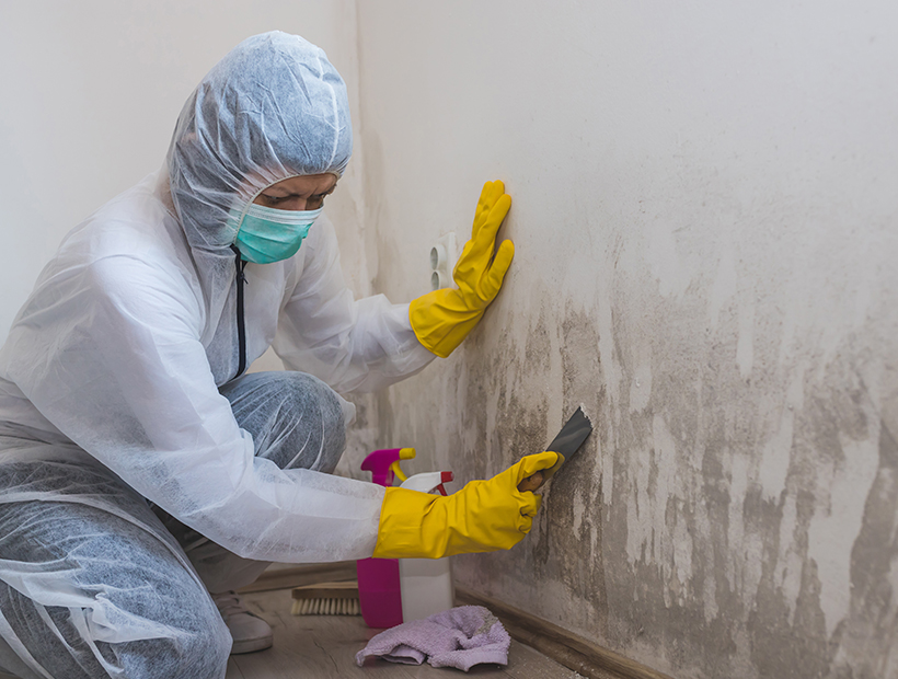  CIRS Mold Toxicity Treatment In McLean McLean, VA